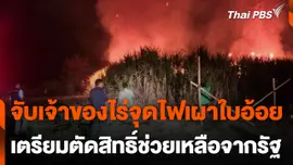 จับเจ้าของไร่จุดไฟเผาใบอ้อย เตรียมตัดสิทธิ์ช่วยเหลือจากรัฐ