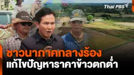 ชาวนาภาคกลางร้อง แก้ไขปัญหาราคาข้าวตกต่ำ