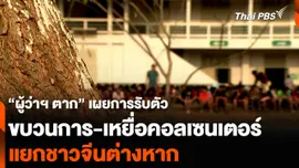 “ผู้ว่าฯ ตาก” เผยการรับตัวขบวนการ-เหยื่อคอลเซนเตอร์ แยกชาวจีนต่างหาก