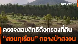ตรวจสอบสิทธิ ถือครองที่ดิน “สวนทุเรียน” กลางป่าสงวน