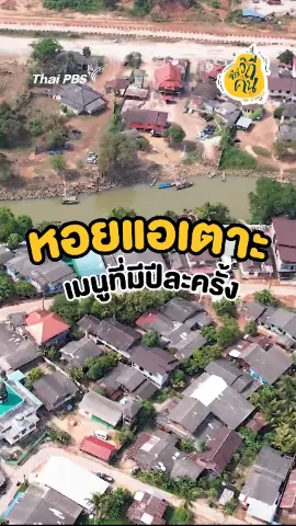 หอยแอเตาะ เมนูที่มีปีละครั้ง