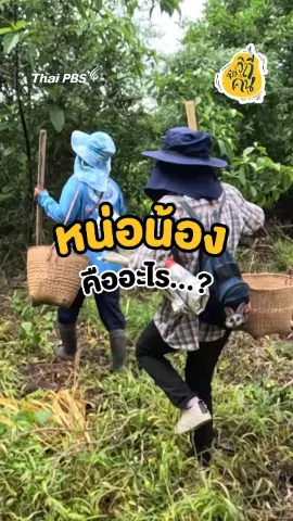 หน่อน้อง คืออะไร