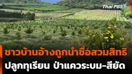 ชาวบ้านอ้างถูกนำชื่อสวมสิทธิปลูกทุเรียน ป่าแควระบม-สียัด