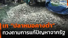 เท "ปลาหมอคางดำ" หน้าทำเนียบฯ ทวงถามการแก้ปัญหา