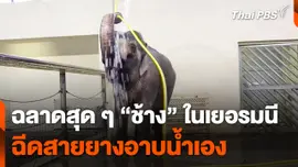 ฉลาดสุด ๆ "ช้าง" ฉีดสายยางอาบน้ำเองในเยอรมนี