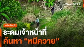 ระดมเจ้าหน้าที่ค้นหา "หมีควาย"