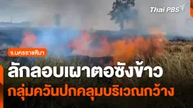 ลักลอบเผาตอซังข้าว จ.นครราชสีมา