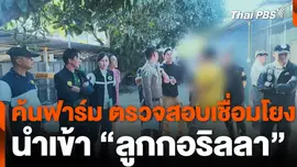 ค้นฟาร์ม ตรวจสอบเชื่อมโยง นำเข้า “ลูกกอริลลา”