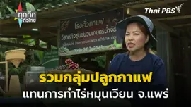 รวมกลุ่มปลูกกาแฟแทนการทำไร่หมุนเวียน จ.แพร่