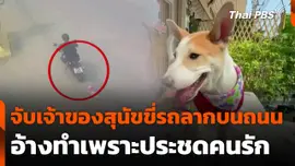 จับเจ้าของสุนัขขี่รถลากบนถนน อ้างประชดคนรัก