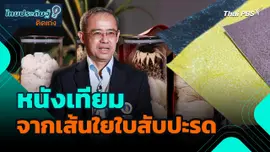 ไทยประดิษฐ์คิดเก่ง : หนังเทียมจากเส้นใยใบสับปะรด