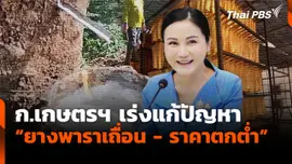 ก.เกษตรฯ เร่งแก้ปัญหา "ยางพาราเถื่อน-ราคาตกต่ำ"