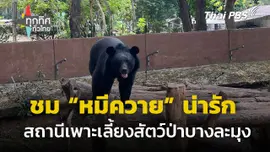 ชมหมีควาย สถานีเพาะเลี้ยงสัตว์ป่าบางละมุง จ.ชลบุรี