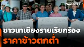 ชาวนาเรียกร้องราคาข้าวตกต่ำ จ.เชียงราย
