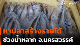 หาปลาสร้างรายได้ ช่วงน้ำหลาก จ.นครสวรรค์
