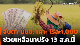 จับตา นบข. เคาะ ไร่ละ1,000 ช่วยเหลือนาปรัง 13 ส.ค.นี้