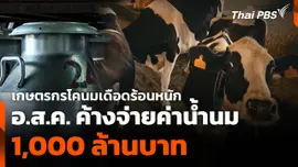 เกษตรกรโคนมเดือดร้อนหนัก อ.ส.ค. ค้างจ่ายค่าน้ำนม 1,000 ล้านบาท