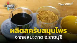 ผลิตสครับสมุนไพร จากผลมะตาด จ.ราชบุรี