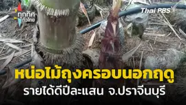 ทำหน่อไม้ถุงครอบนอกฤดู รายได้ดีปีละแสน จ.ปราจีนบุรี