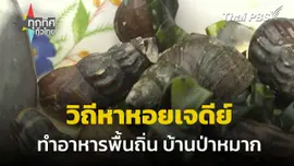 วิถีหาหอยเจดีย์ ทำอาหารพื้นถิ่น บ้านป่าหมาก