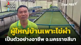 ผู้ใหญ่บ้านเพาะไข่ผำเป็นตัวอย่างอาชีพ จ.นครราชสีมา