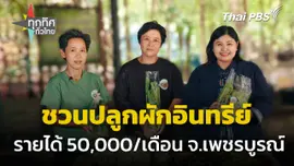 ปลูกผักอินทรีย์ รายได้ 50,000 ต่อเดือน จ.เพชรบูรณ์