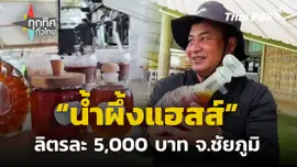 "น้ำผึ้งแฮสส์" ของหายากปีละครั้ง ลิตรละ 5,000 บาท