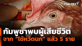 กัมพูชาพบผู้เสียชีวิตจาก "ไข้หวัดนก" แล้ว 5 คน