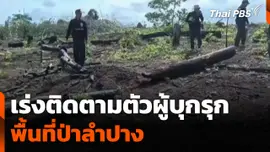 เร่งติดตามตัวผู้บุกรุกพื้นที่ป่าลำปาง
