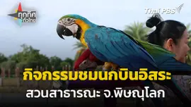 เปิดกิจกรรมให้ชมนกบินอิสระ จ.พิษณุโลก