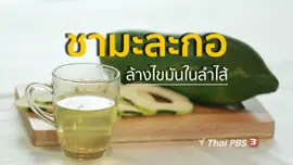 กินดี อยู่ดี กับหมอพรเทพ : น้ำชามะละกอ
