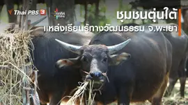 ​ชุมชนตุ่นใต้ แหล่งเรียนรู้ทางวัฒนธรรม จ.พะเยา