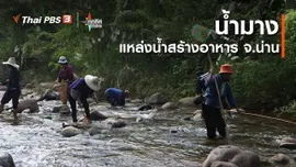น้ำมางแหล่งน้ำสร้างอาหาร จ.น่าน