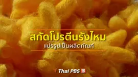​ชุมชนทั่วไทย : สกัดโปรตีนรังไหมแปรรูปเป็นผลิตภัณฑ์