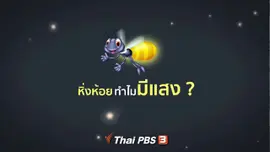 ​หิ่งห้อยทำไมมีแสง ?