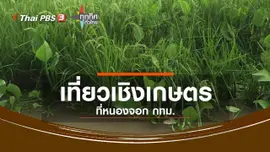 ชุมชนทั่วไทย : เที่ยวเชิงเกษตร เขตหนองจอก กทม.
