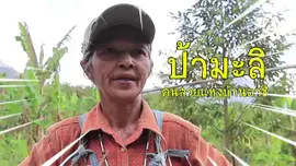 ป้ามะลิ คนสวยบ้านตาชี