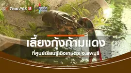 ชุมชนทั่วไทย : เลี้ยงกุ้งก้ามแดงที่ศูนย์เรียนรู้เชิงเกษตร จ.ลพบุรี