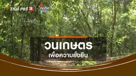 ​วนเกษตรเพื่อความยั่งยืน จ.ฉะเชิงเทรา