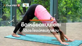 โยคะบำบัด : ประโยชน์ของท่ายืดเหยียดแบบโยคะ