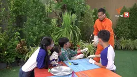 ดอกไม้ไฟหลากสี