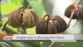 สถานีร้องทุกข์ : ประเด็นข่าว (17 ส.ค. 62)