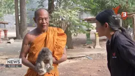 ชีวิตติดดิน : บ้านกระต่าย ศาลพระภูมิเก่า วัดทุ่งน้อย ราชบุรี