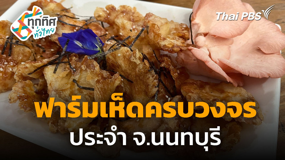ฟาร์มเห็ดครบวงจร จ.นนทบุรี 