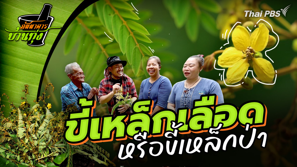 ขี้เหล็กเลือด
