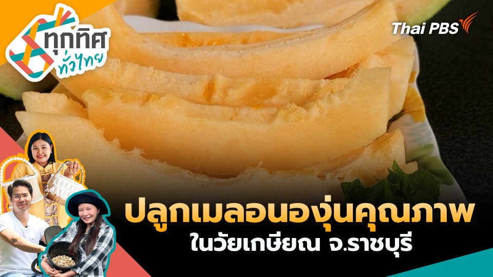 ปลูกเมลอนองุ่นคุณภาพในวัยเกษียณ จ.ราชบุรี