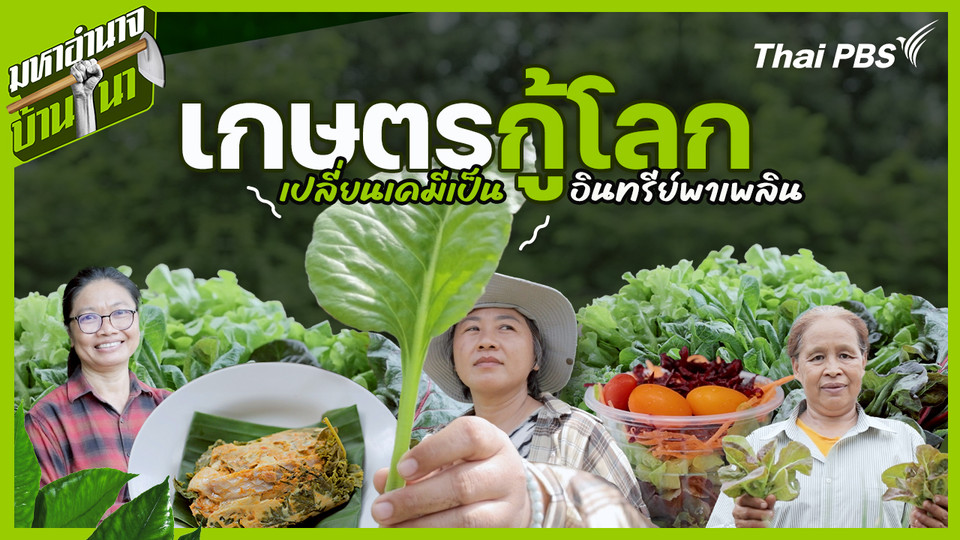 เกษตรกู้โลก เปลี่ยนเคมีเป็นอินทรีย์พาเพลิน