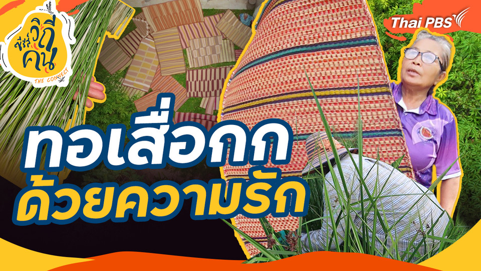 ช็อตเด็ด ซีรีส์วิถีคน : ทอเสื่อกก ด้วยความรัก
