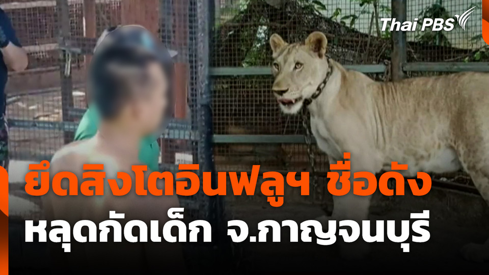 ยึดสิงโตอินฟลูฯ ชื่อดัง หลุดกัดเด็ก จ.กาญจนบุรี | ข่าวเที่ยง | 5 ต.ค. 68