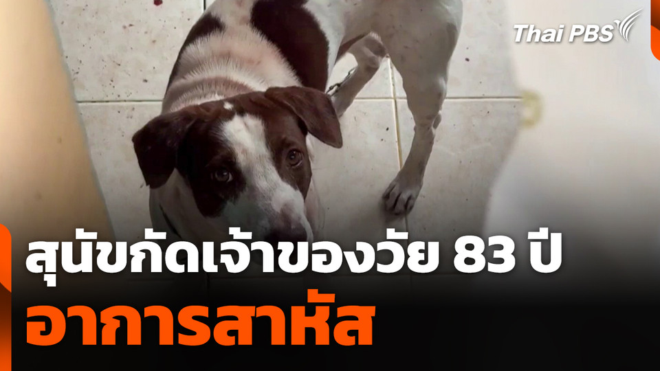 สุนัขกัดเจ้าของวัย 83 ปี อาการสาหัส
